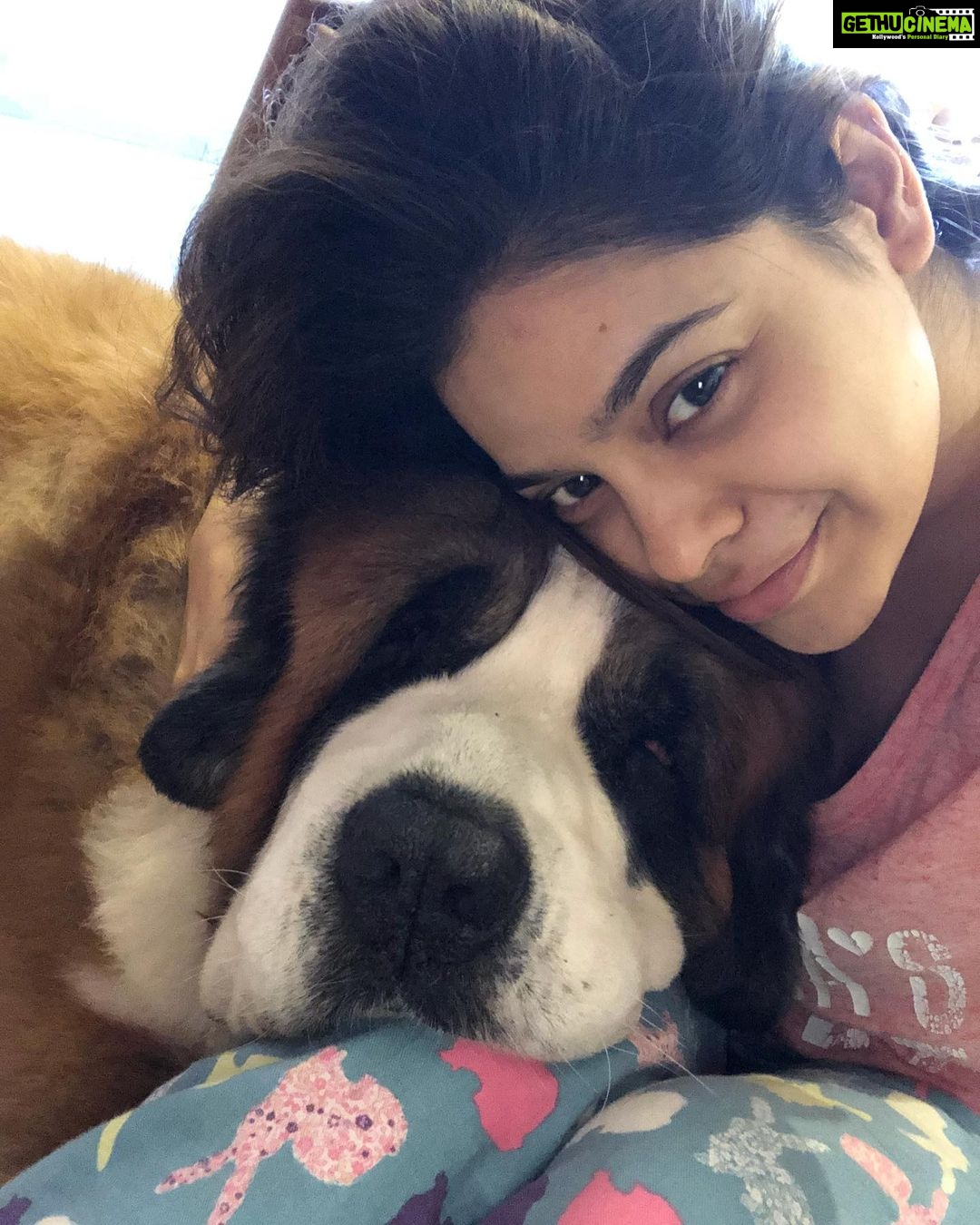Sumona Chakravarti Instagram - Lazy Sundays used to be like this... . Miss u big boy🌸 Rooney 🤍