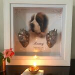 Sumona Chakravarti Instagram - 12.5 years... You have taken away a chunk of my heart with u Rooney, leaving me empty, hollow & numb💔💔💔 My first baby. I WILL ALWAYS LOVE YOU. Rest In Peace my Boy 🌈🤍