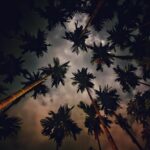 Sumona Chakravarti Instagram - All i wanted was to disappear for a while. Instead i found myself. Every single day for 16 whole days, my heart has been over flowing with immense gratitude. My good mornings & good nights were only about thanking the Universe for everything that i have, for all the things that I’ve lost, for all the things that ive gained. For all the pain & the love that i have experienced. To know what to hold on to & what to let go. In grim times like these, i managed to wade off fear, re build my emotional & mental health. For a solo trip, not once did i feel lonely at any given point in time. The solitude was blissful, but i got lucky to get to know a bunch of islanders & travellers who are not only super non judgemental of who u are, where u come from, what u do type but also inclusive; who i met as strangers but now consider to be my friends. A bond that has been sealed forever ♾ Woke up today with withdrawal symptoms of not being in Havelock. The immense love & gratitude that i feel for all of you is something i can never put in words. Thank you for making me a part of your lives. I love u all ♥️♥️♥️ @kirti.km @azar2608 @thalassophilic.tinker @the_andaman_dad @high_hat19 @balrajghai @zinstagran @chandni_a @trulynomadly ,Rohin, Goldie, Paru, Smita, JD, my dive instructor 42 & most importantly Ary- u have my heart kiddo ♥️ Till we meet again 💕 #HomeAwayFromHome . . P.s 📸 : Me #iphone12pro Havelock Island , Andaman and Nicobar Islands, India