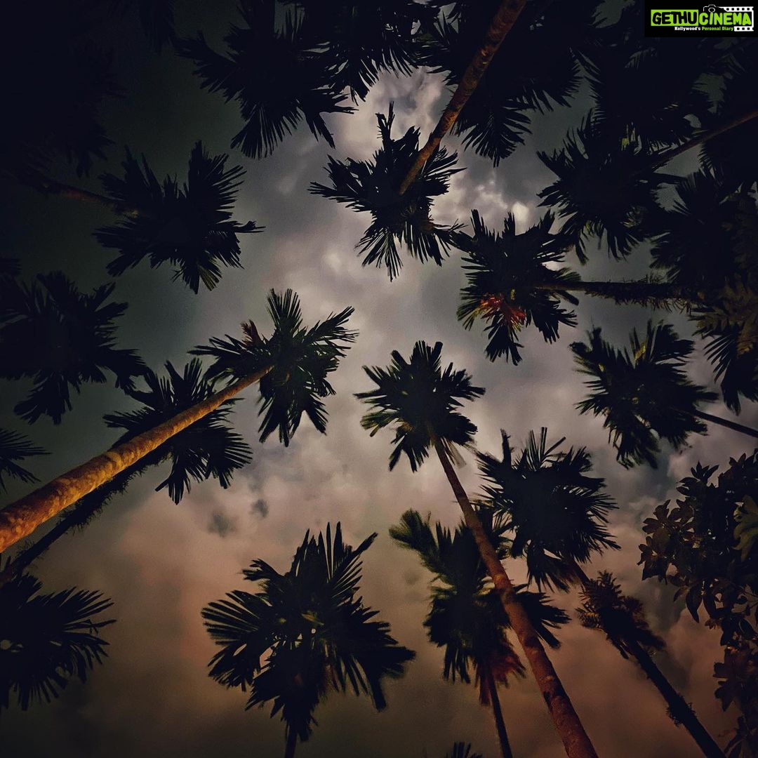 Sumona Chakravarti Instagram - All i wanted was to disappear for a while. Instead i found myself. Every single day for 16 whole days, my heart has been over flowing with immense gratitude. My good mornings & good nights were only about thanking the Universe for everything that i have, for all the things that I’ve lost, for all the things that ive gained. For all the pain & the love that i have experienced. To know what to hold on to & what to let go. In grim times like these, i managed to wade off fear, re build my emotional & mental health. For a solo trip, not once did i feel lonely at any given point in time. The solitude was blissful, but i got lucky to get to know a bunch of islanders & travellers who are not only super non judgemental of who u are, where u come from, what u do type but also inclusive; who i met as strangers but now consider to be my friends. A bond that has been sealed forever ♾ Woke up today with withdrawal symptoms of not being in Havelock. The immense love & gratitude that i feel for all of you is something i can never put in words. Thank you for making me a part of your lives. I love u all ♥️♥️♥️ @kirti.km @azar2608 @thalassophilic.tinker @the_andaman_dad @high_hat19 @balrajghai @zinstagran @chandni_a @trulynomadly ,Rohin, Goldie, Paru, Smita, JD, my dive instructor 42 & most importantly Ary- u have my heart kiddo ♥️ Till we meet again 💕 #HomeAwayFromHome . . P.s 📸 : Me #iphone12pro Havelock Island , Andaman and Nicobar Islands, India