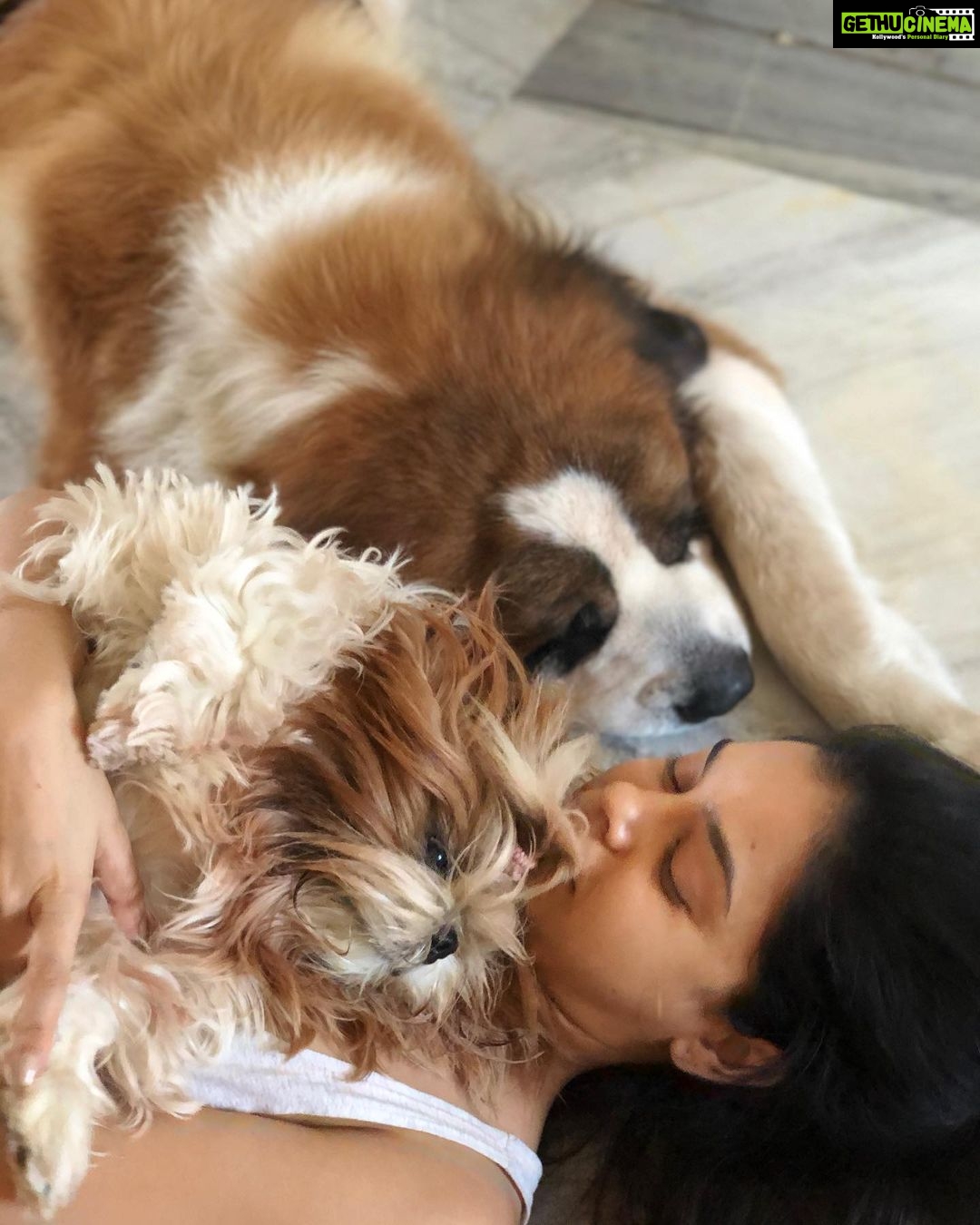 Sumona Chakravarti Instagram - Lazy Sundays used to be like this... . Miss u big boy🌸 Rooney 🤍