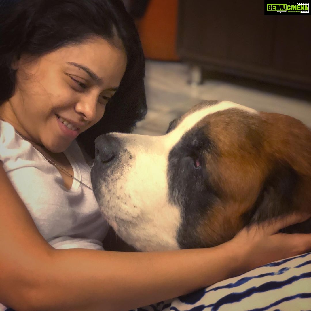 Sumona Chakravarti Instagram - 12.5 years... You have taken away a chunk of my heart with u Rooney, leaving me empty, hollow & numb💔💔💔 My first baby. I WILL ALWAYS LOVE YOU. Rest In Peace my Boy 🌈🤍
