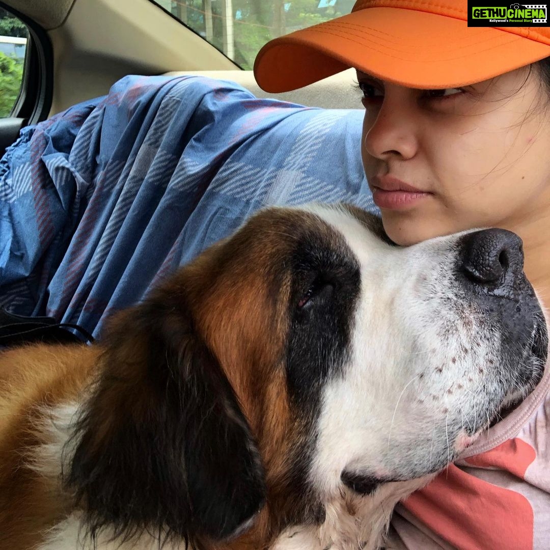 Sumona Chakravarti Instagram - 12.5 years... You have taken away a chunk of my heart with u Rooney, leaving me empty, hollow & numb💔💔💔 My first baby. I WILL ALWAYS LOVE YOU. Rest In Peace my Boy 🌈🤍