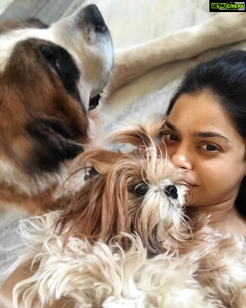Sumona Chakravarti Instagram - Soaking in furry love thanks to #selfquarantine 🐶💟 . And Dogs do not contract Covid-19. STOP abandoning them. #petsofinstagram #petowner #furryfriends #dogparent #socialdistancing #stayathome @my_bmc @mybmchealthdept @tedthestoner @amtmindia @petaindia