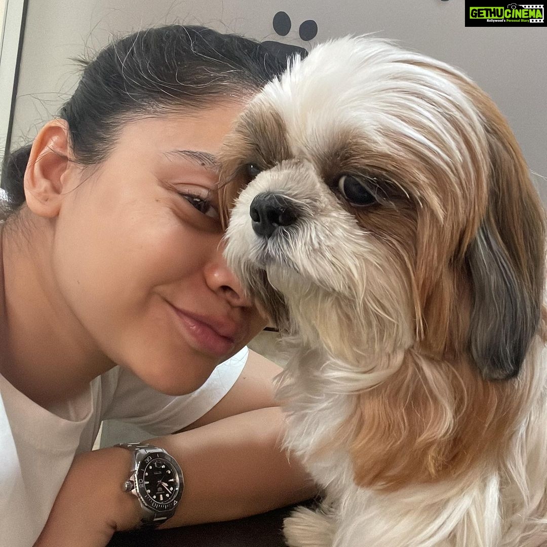 Sumona Chakravarti Instagram - Bubbles 💔 After 4 days of fighting with all her might, we lost the battle. Bubbles left us last evening 7th Feb’23 at 7pm to join her brother Rooney in heaven. You never think the last time is the last time. You think there’ll be more. You think you have forever, but you don’t. In a span of 2 yrs i have lost both my babies. Is there a term for a parent who loses their child? We have orphan, widow, widower… but nothing for a parent. No word to describe at all…???? How much grief can one live with? Not every heartache heals. Time will not heal this wound, it will only push me to live with this emptiness & hollowness till my last breath. Now you & Rooney can cause mayhem wherever u two are, & know that i love you both. Be happy & naughty wherever you are. Om shanti 🤍🕊️ ♥️♥️♥️ P.s Dr Karkare & his team @happytailsworld thank you for not giving up on bubbles. Thank you for being there for her always. 🙏🏻