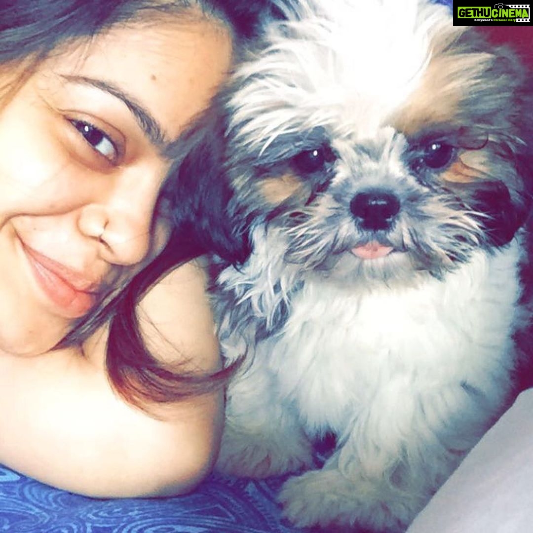 Sumona Chakravarti Instagram - Bubbles 💔 After 4 days of fighting with all her might, we lost the battle. Bubbles left us last evening 7th Feb’23 at 7pm to join her brother Rooney in heaven. You never think the last time is the last time. You think there’ll be more. You think you have forever, but you don’t. In a span of 2 yrs i have lost both my babies. Is there a term for a parent who loses their child? We have orphan, widow, widower… but nothing for a parent. No word to describe at all…???? How much grief can one live with? Not every heartache heals. Time will not heal this wound, it will only push me to live with this emptiness & hollowness till my last breath. Now you & Rooney can cause mayhem wherever u two are, & know that i love you both. Be happy & naughty wherever you are. Om shanti 🤍🕊️ ♥️♥️♥️ P.s Dr Karkare & his team @happytailsworld thank you for not giving up on bubbles. Thank you for being there for her always. 🙏🏻
