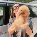 Sunanda Sharma Instagram - Ehi te fer pyaar hunda ai 🙂🧿🫶🏼🧿❤️ . . #sunandasharma #chichi #doglover #reels #instagood