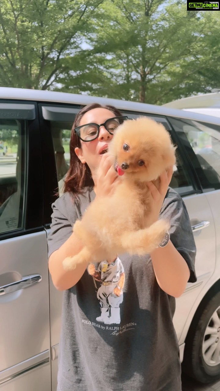 Sunanda Sharma Instagram - Ehi te fer pyaar hunda ai 🙂🧿🫶🏼🧿❤️ . . #sunandasharma #chichi #doglover #reels #instagood