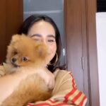 Sunanda Sharma Instagram - Main sadhke jaawa apne chichi ton🫠🐶🧿❤️ . . #sunandasharma #reels #reelsinstagram #doglover