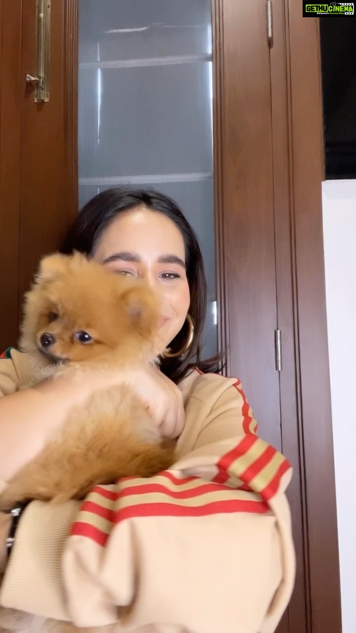 Sunanda Sharma Instagram - Main sadhke jaawa apne chichi ton🫠🐶🧿❤️ . . #sunandasharma #reels #reelsinstagram #doglover