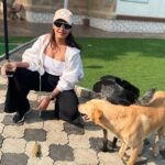 Surbhi Chandna Instagram - This girl has her priorities straight 🐶 #wanttobeadogmom #pets