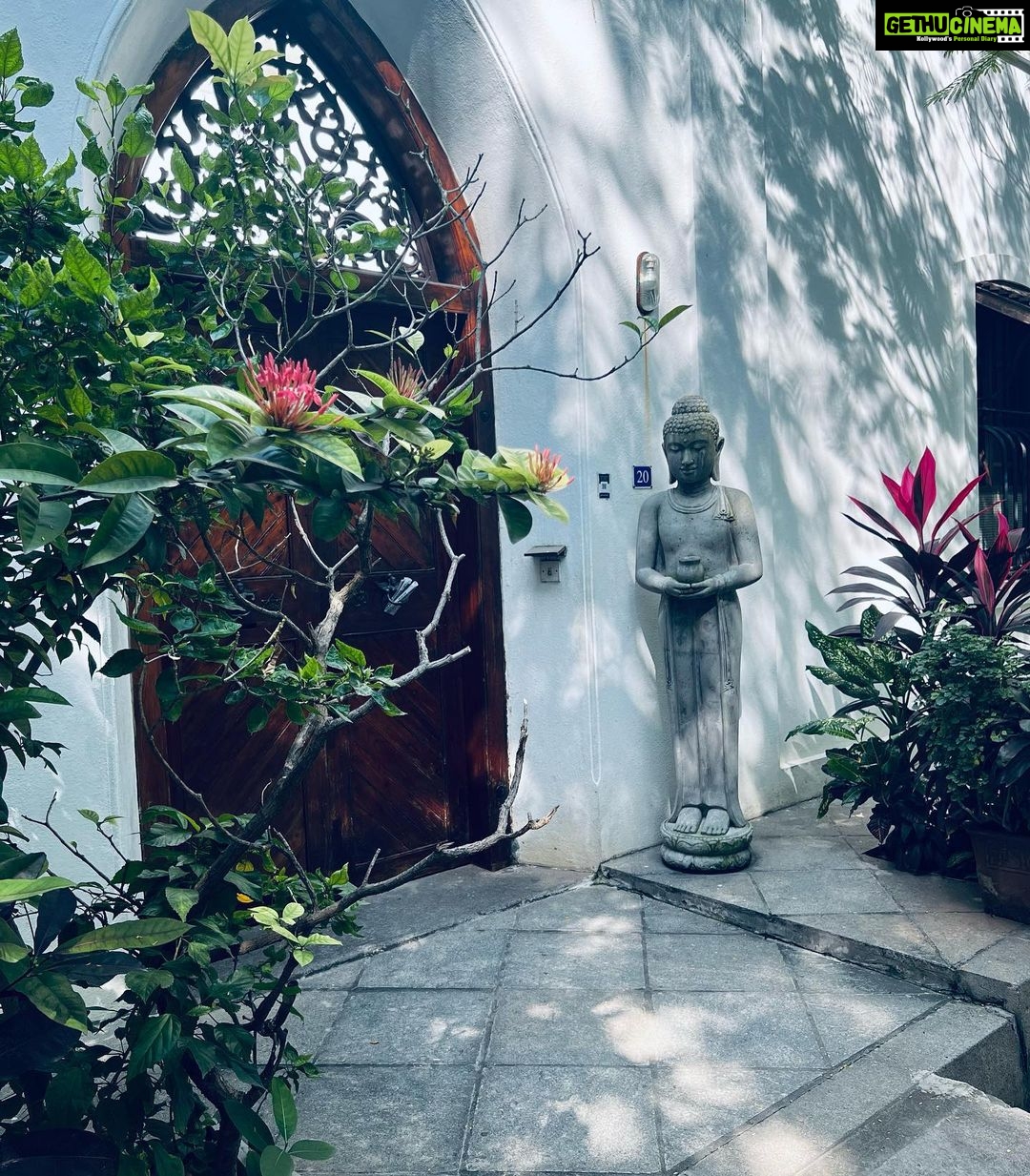 Surbhi Chandna Instagram - A Day in PondiCherry 🍒