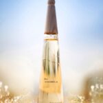 Surbhi Jyoti Instagram - Discover Issey Miyake L’Eau d’Issey Eau&Magnolia, the pureness of water as it moves through nature. ​ Delicate and poetic, you can get this fragrance at @parcosbeauty. ​ ​ #watermeetsmatter #eauandmagnolia #leaudissey #isseymiyakeparfums​ @isseymiyakeparfums #AD