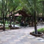 Sureka Instagram - Location: @browntownresort