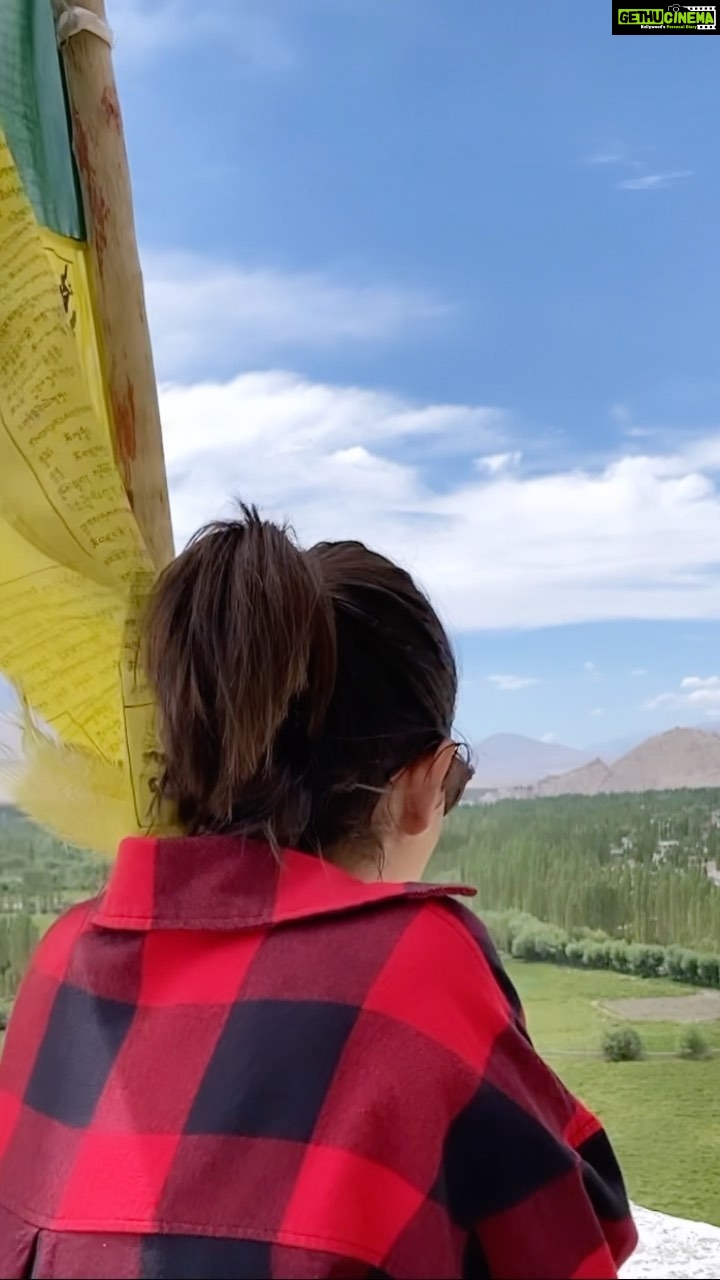 Swati Kapoor Instagram - To zinda ho tum !