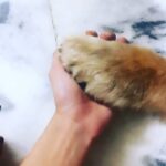 Swati Kapoor Instagram - I will miss you Until we meet again.