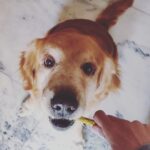Swati Kapoor Instagram - 8 years back, this soul came in my life and redefined love forever ❤️ Blessed beyond what words can explain !!!