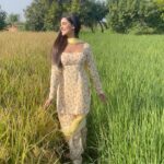 Tanu Grewal Instagram - mainu pyaar diyaan chadiyan khumariyan 🌾💛 . . . . . #punjabi #punjab #punjabisongs #punjabisuit #punjabiactress #punjabimodel #punjabistatus #pollywood #pollywoodartists #reels #reelsvideo #reelsinstagram #reelsindia #reelitfeelit