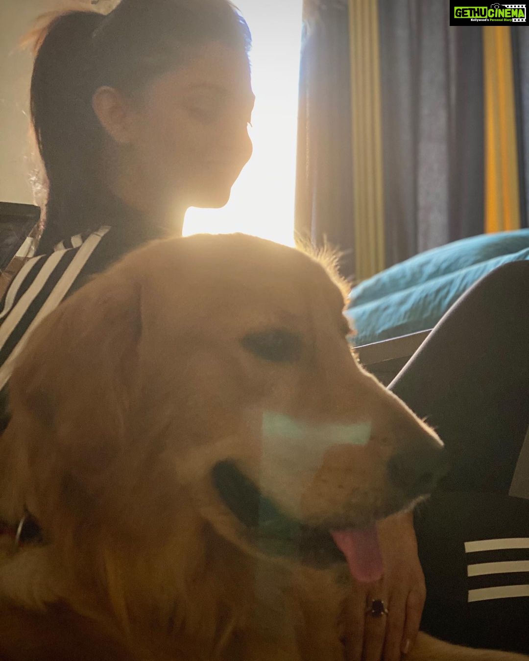 Tanvi Dogra Instagram - Somethings fill your heart without even trying 🐾 Hence life is good but Oscar makes it better 🐶 #oscar #family #pet #love