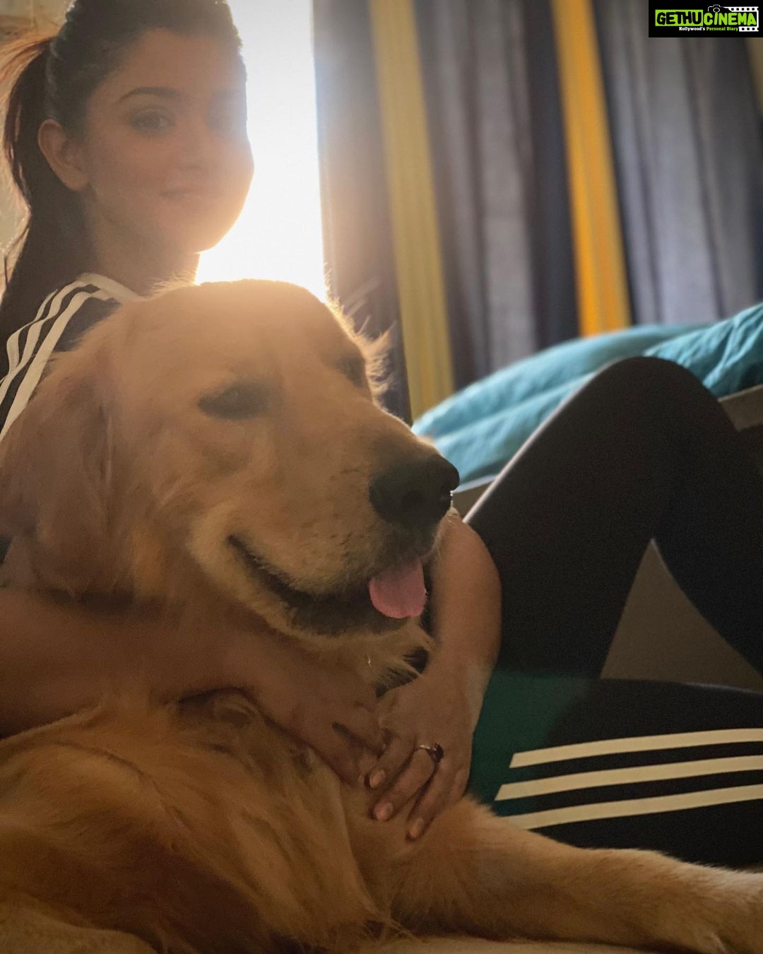 Tanvi Dogra Instagram - Somethings fill your heart without even trying 🐾 Hence life is good but Oscar makes it better 🐶 #oscar #family #pet #love