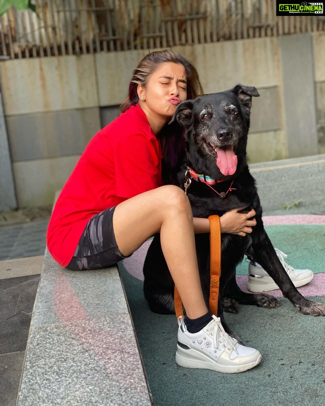 Tina Datta Instagram - Jadoo Ki Jhappi... Sach Main this one is magical! #Rani #KeepHerInYourPrayers . . #TeamTina #TribeTina #TinaInBB #TinaDatta #biggboss #biggboss16 #bb #bb16 #salmankhan #pet #petlovers #petsofinstagram #dogsofinstagram #dog @voot @vootselect @colorstv @endemolshineind