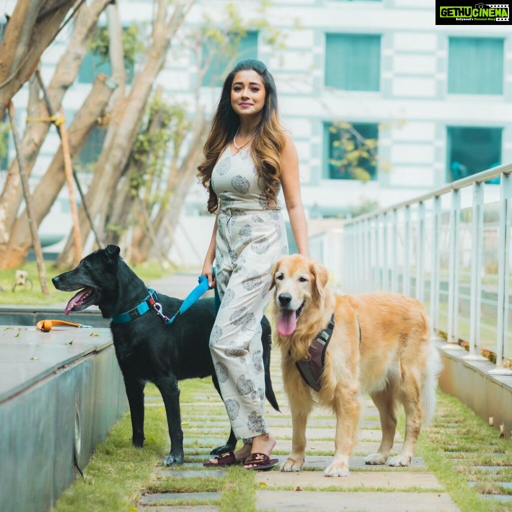Tina Datta Instagram - It’s not just a mere saying that Dogs are Man’s best friends, but Tinzi has been living by this!! As a pet parent, we wonder how difficult this time is for Tina… Rani and Bruno are one of her greatest strengths as well as weaknesses, they are her support system in this city where she lives alone. And now, locked up inside the house, the days become more challenging as she hears about Rani’s health. As Bigg Boss said, its truly emotional. But our #WarriorPrincess shall rise above these tough days, staying strong and fighting this emotional battle alone! As Tina believes, All’s gonna be well by the day end!! We have the same spirit… More Power and Love to Tinzi from her Team and Tribe!! @brunoranidatta . . 📸: @being_flamingo . . #TeamTina #TribeTina #TinaInBB #TinaDatta #biggboss #biggboss16 #bb #bb16 #salmankhan #pet #petlovers #petsofinstagram #dogsofinstagram #dog @voot @vootselect @colorstv @endemolshineind