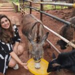 Vahbbiz Dorabjee Instagram - Animal Therapy❤️ Forest Hills at Tala