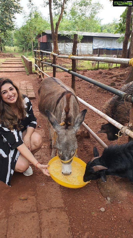 Vahbbiz Dorabjee Instagram - Animal Therapy❤️ Forest Hills at Tala