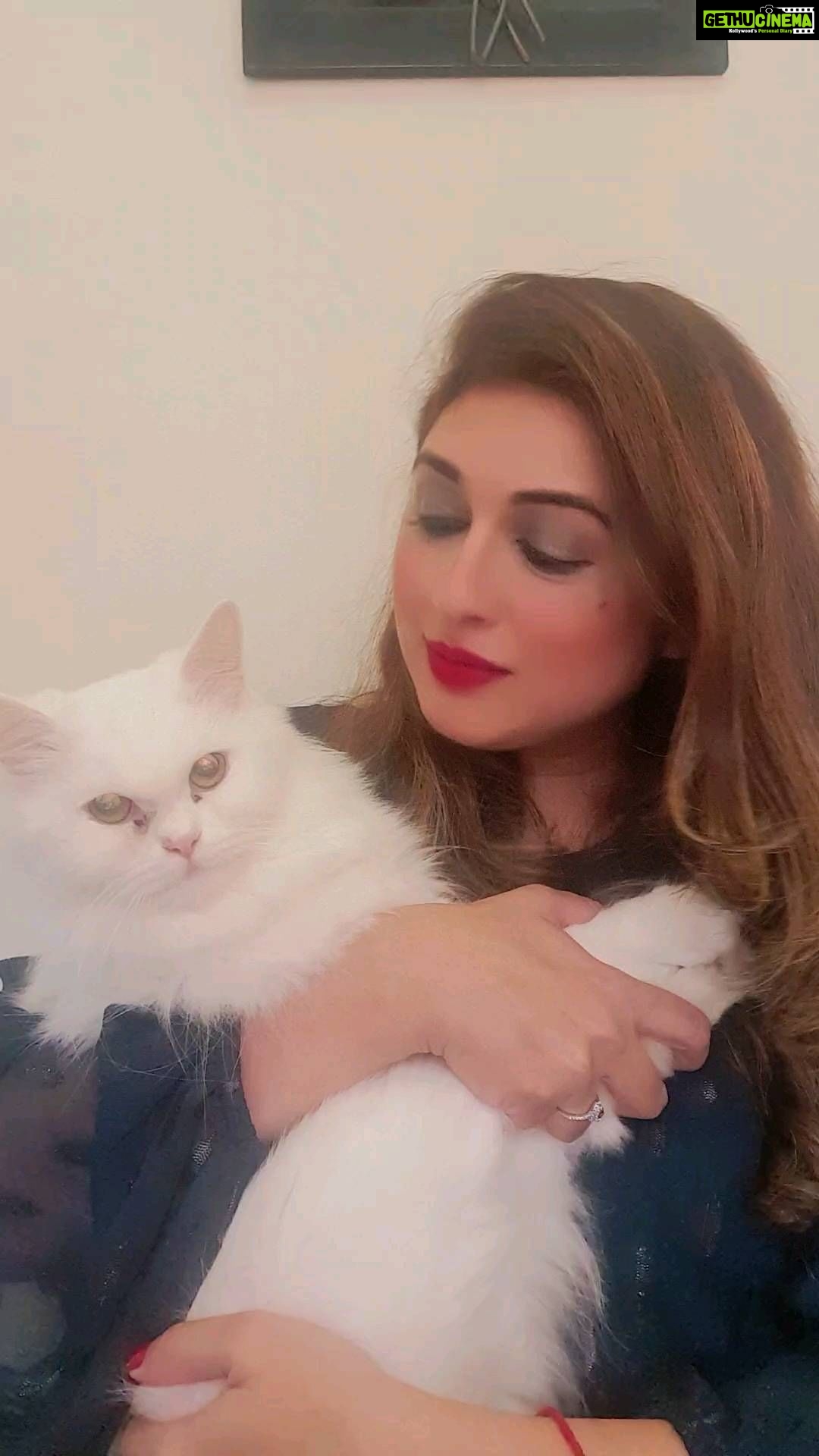Vahbbiz Dorabjee Instagram - You are gonna let me Love you😍❤️ #chilledweekends with ny babies #candy and #simba Tag a pet lover❤️