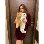 Vahbbiz Dorabjee Instagram - These cat's are my entire "WORLD" #Simba and #Candy😍 The Best Therapist has Fur and Four Legs😍