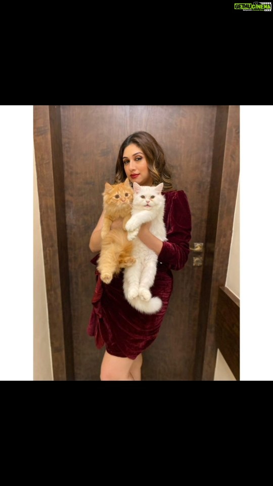 Vahbbiz Dorabjee Instagram - These cat's are my entire "WORLD" #Simba and #Candy😍 The Best Therapist has Fur and Four Legs😍