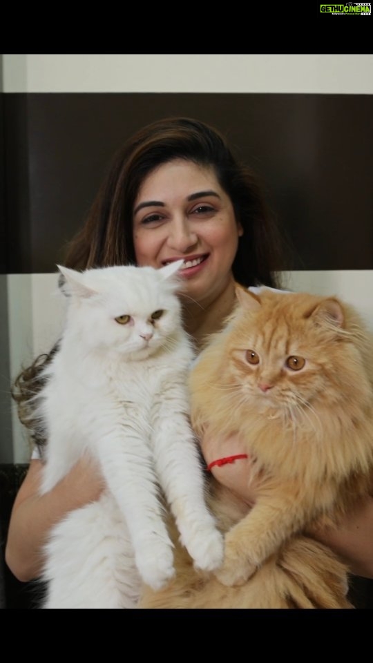 Vahbbiz Dorabjee Instagram - Happy and Blissful Mornings💕 Spending time with my Babies❤️ #simba and #Candy #Sundaymood😍