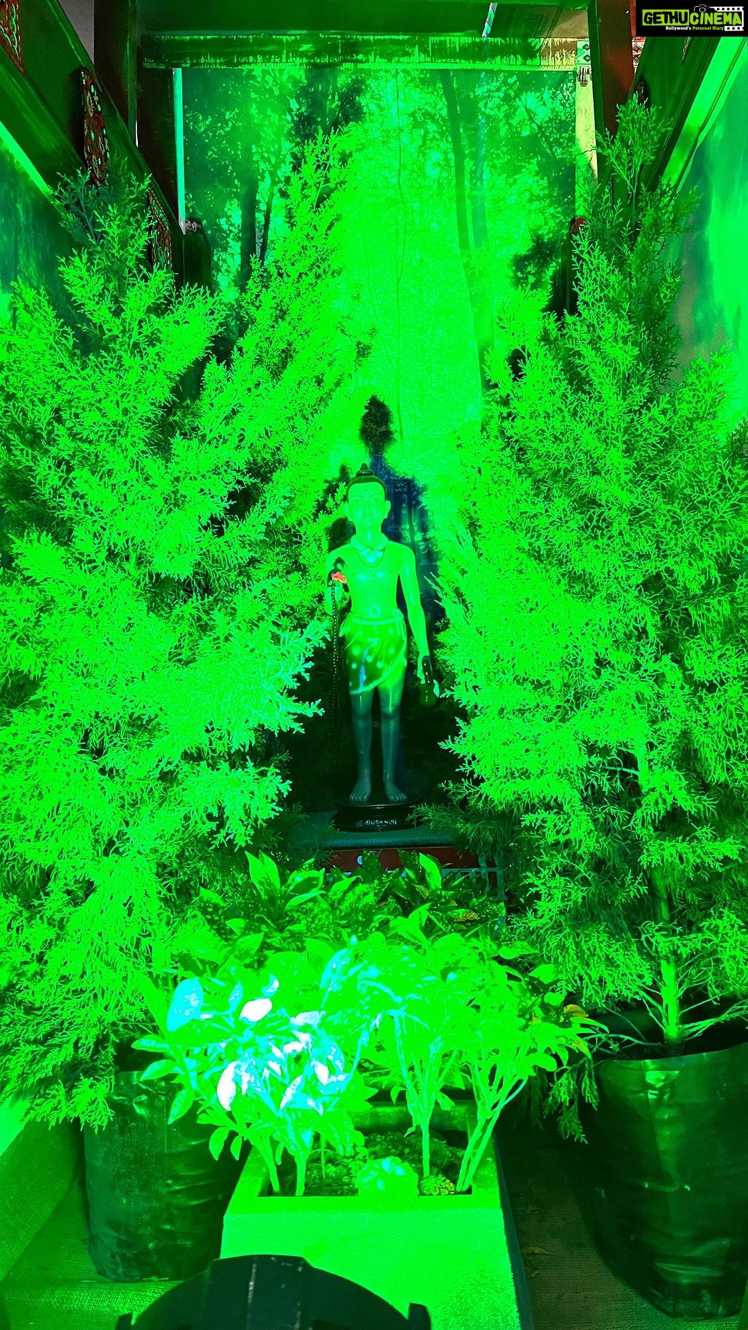 Vaishali Takkar Instagram - Hathi ghoda paalki jai kanheyya laal ki 🤩😍 Happy Janmashtami 🙏🏻