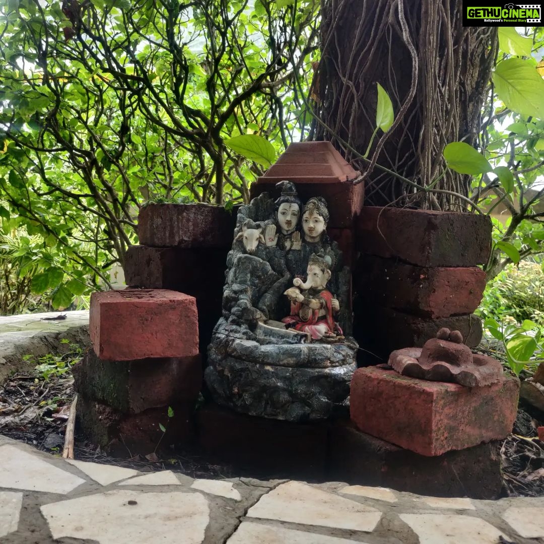 Vaishnavi Dhanraj Instagram - Workaction 🌼 @firemountainretreat_ #workaction #yoga #nature #bliss #nofilterneeded #mykindofplace #ayurveda #yoga #health #meditation #holistichealth #detox #healing #mumbai #peace #positivevibes #bollywood #retreat #firemountainretreat