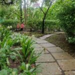 Vaishnavi Dhanraj Instagram - Workaction 🌼 @firemountainretreat_ #workaction #yoga #nature #bliss #nofilterneeded #mykindofplace #ayurveda #yoga #health #meditation #holistichealth #detox #healing #mumbai #peace #positivevibes #bollywood #retreat #firemountainretreat