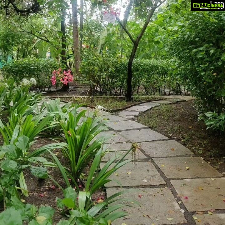 Vaishnavi Dhanraj Instagram - Workaction 🌼 @firemountainretreat_ #workaction #yoga #nature #bliss #nofilterneeded #mykindofplace #ayurveda #yoga #health #meditation #holistichealth #detox #healing #mumbai #peace #positivevibes #bollywood #retreat #firemountainretreat