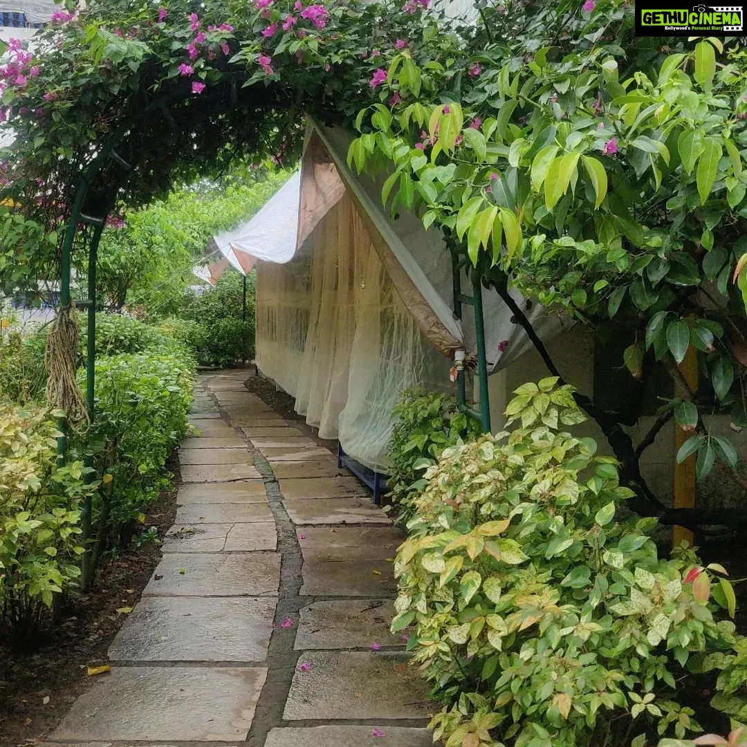 Vaishnavi Dhanraj Instagram - Workaction 🌼 @firemountainretreat_ #workaction #yoga #nature #bliss #nofilterneeded #mykindofplace #ayurveda #yoga #health #meditation #holistichealth #detox #healing #mumbai #peace #positivevibes #bollywood #retreat #firemountainretreat