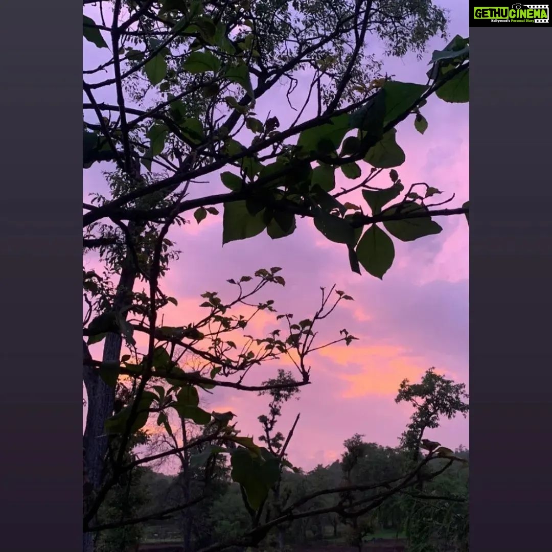 Vaishnavi Dhanraj Instagram - Workaction 🌼 @firemountainretreat_ #workaction #yoga #nature #bliss #nofilterneeded #mykindofplace #ayurveda #yoga #health #meditation #holistichealth #detox #healing #mumbai #peace #positivevibes #bollywood #retreat #firemountainretreat