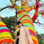 Vindhya Tiwari Instagram - Isn't it beautiful?? These are Baobab Tree of India (known locally as mandu ki imli or the khorasani imli) with Dream Catchers they are beautifully decorated all over mandu for @mandufestival @efactorexperiences Such a beautiful stay n experience Now i know why Mp is ❤ of india !! @mptourism @amithtyagi @goodnewstoday @atsbb #dreamcatcher #festivevibes #newyear2022 #colourful #trees #baobab #madhyapradesh #mandu #experience #adventure #events Mandu, Madhya Pradesh