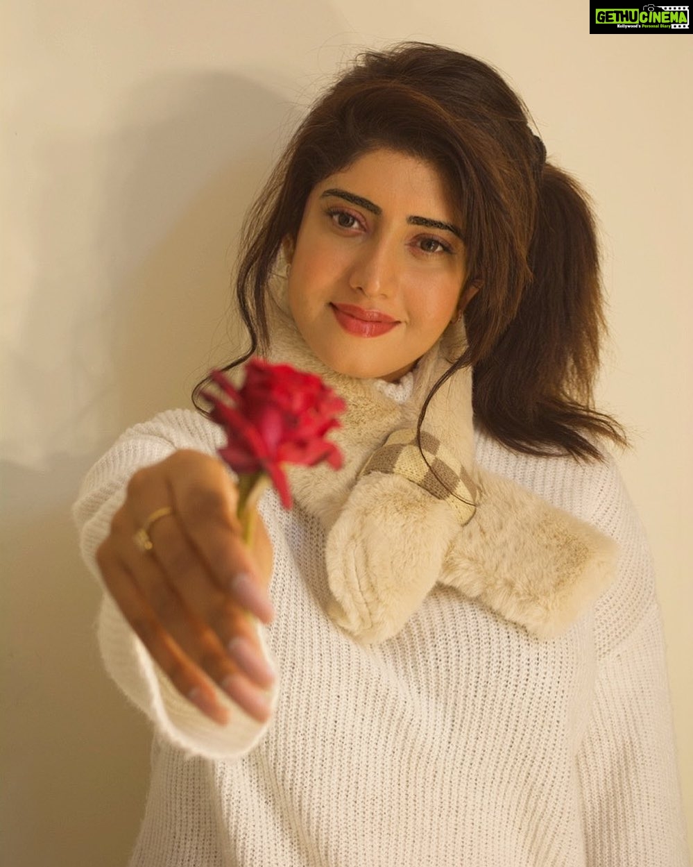 Vindhya Tiwari Instagram - Winter glow 🌹who wants this rose ?? Clicked this pic on my new camera on auto mode 📸 @nikonindiaofficial #efforts #selfportrait #rose Mumbai, Maharashtra