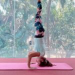 Vinny Arora Instagram - I have to admit, I miss my yoga ! Currently doing some pre natal yoga but that’s just how my warm up use to be(totally mean to brag). So here’s a throwback to a sequence I was trying before I stopped doing the intense stuff! Happy Yoga day 💕 #internationalyogaday #yogagirl