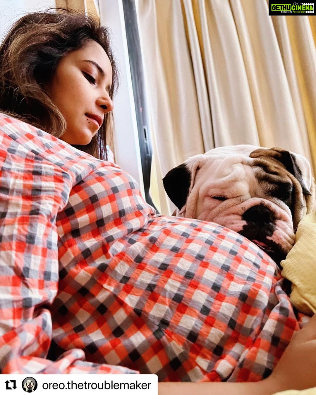 Vinny Arora Instagram - #Repost @oreo.thetroublemaker with @make_repost ・・・ Mommy is getting me the sweetest present soon.. Happy Mother’s Day ♥️