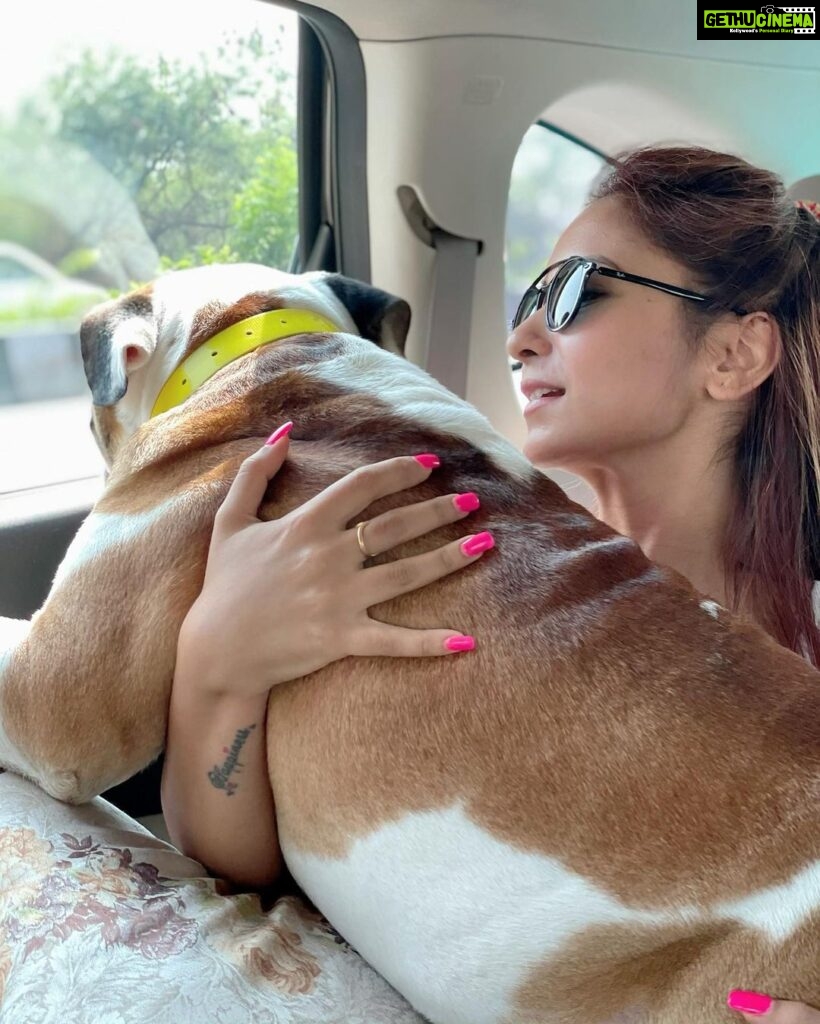 Vinny Arora Instagram - How to tell your dog he has outgrown your lap.. DON’T !