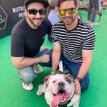 Vinny Arora Instagram – Pet fed ‘23 🐶❤️