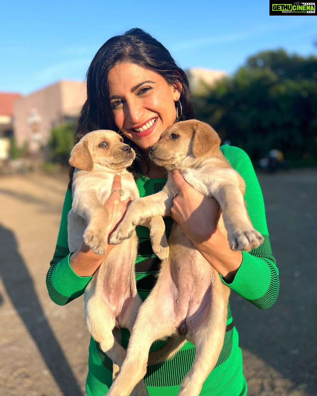 Aahana Kumra Instagram - This is 🐾 love 💕🐶 #throwbackthursday . . . . #puppies #cute #puppylove #puppy #aahanakumra #animallovers #animallover #thursday #thursdaythoughts Nasik Maharashtra