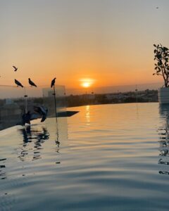 Aahana Kumra Instagram - Sunsets and pools 🌸🌞🫶🏜️🐫🥂🦚👙🌊🏝️🐚
.
.
.
📍 @narendra.bhawan.bikaner 
.
.
#thursday #thurdaythrowback #throwbackthursday #thursdaymotivation #getaway #swimsuit #sunset #pool #poolside #nofilter #sunlover #sunshinegirl #aahanakumra #rajasthan #bikaner