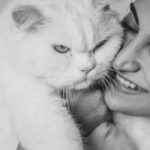 Aahana Kumra Instagram - Have you seen a grumpier cat than Mushu Kumra 😹🫶😘🤍😻😼 The boy I love the mostest💕😘🫶 And he hates being clicked 🫣 Thanks for capturing these moments @akki_paranjape_ #sunday #catsofinstagram . . . . #catlover #catmom #catlover #catlife #cats #blackandwhite #photography #photoshoot #photooftheday #portraitphotography #portrait #mushu #aahanakumra Mumbai - मुंबई