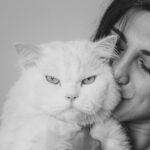 Aahana Kumra Instagram - Have you seen a grumpier cat than Mushu Kumra 😹🫶😘🤍😻😼 The boy I love the mostest💕😘🫶 And he hates being clicked 🫣 Thanks for capturing these moments @akki_paranjape_ #sunday #catsofinstagram . . . . #catlover #catmom #catlover #catlife #cats #blackandwhite #photography #photoshoot #photooftheday #portraitphotography #portrait #mushu #aahanakumra Mumbai - मुंबई