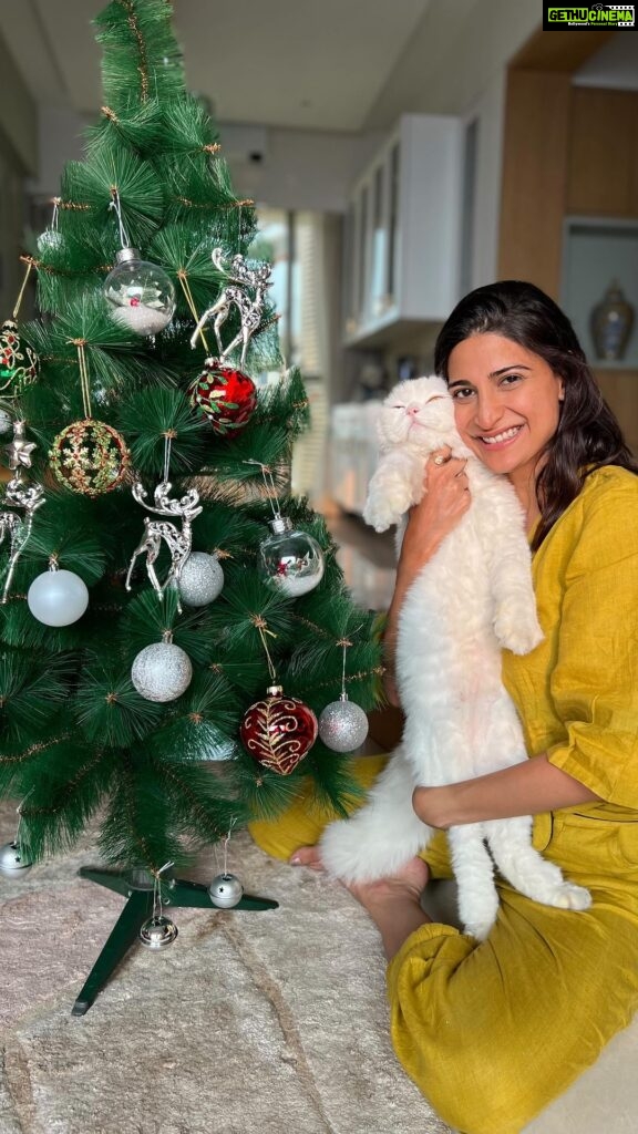 Aahana Kumra Instagram - Christmas is here and preparations are in full swing 🎄🥂🍾❤️🍷😻🐾 #merrychristmas #throwbackthursday . . . . #christmastree #christmasprep #christmas #mushu #catsofinstagram #cats #catparents #catstagram #aahanakumra #love #throwback #thursday Mumbai - मुंबई