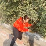 Afsana Khan Instagram – दिन दहाड़े Chori krde hoe chor 🍊👌🍊 hello fans orange khalo 👌💛 ਜੱਦੀ ਪਿੰਡ ਗਿੱਦੜਬਾਹਾ
